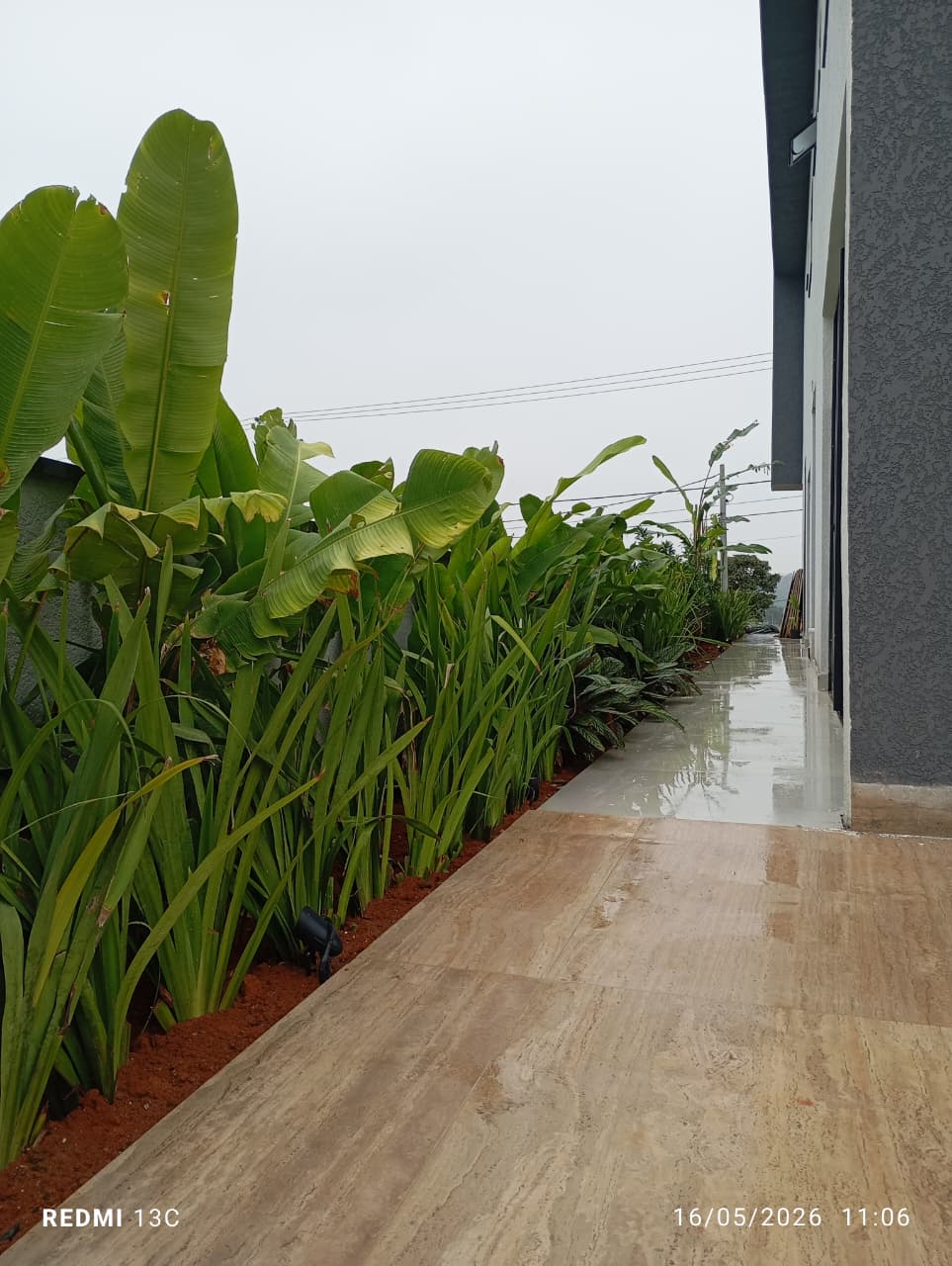 Canteiro vertical com vegetação ornamental